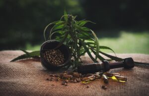 Huile de cannabidiol : qu’est-ce que l’huile de CBD, comment fonctionne-t-elle et à quoi sert-elle ? huile cannabidiol