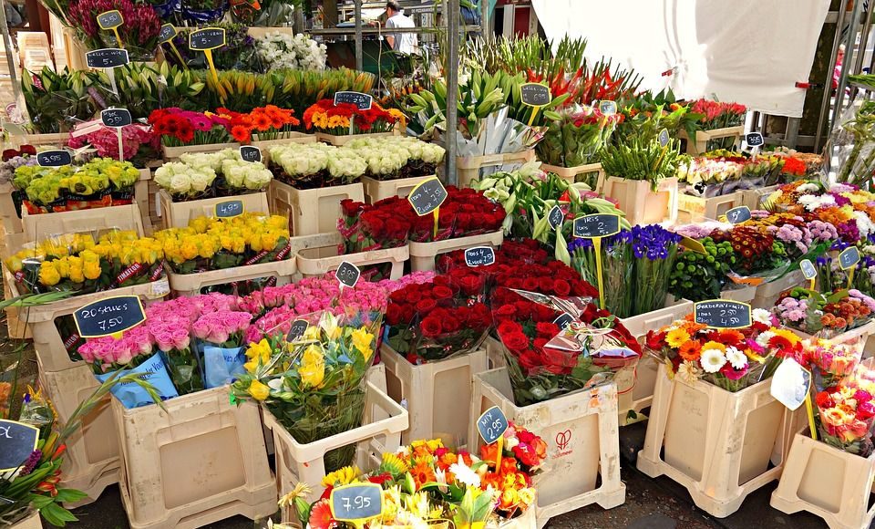 Livraison de fleurs à Paris : quel fleuriste choisir ? - WebSuisse.ch